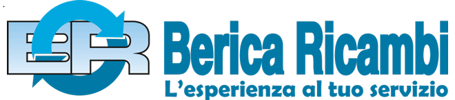 Logo Berica Ricambi Srl